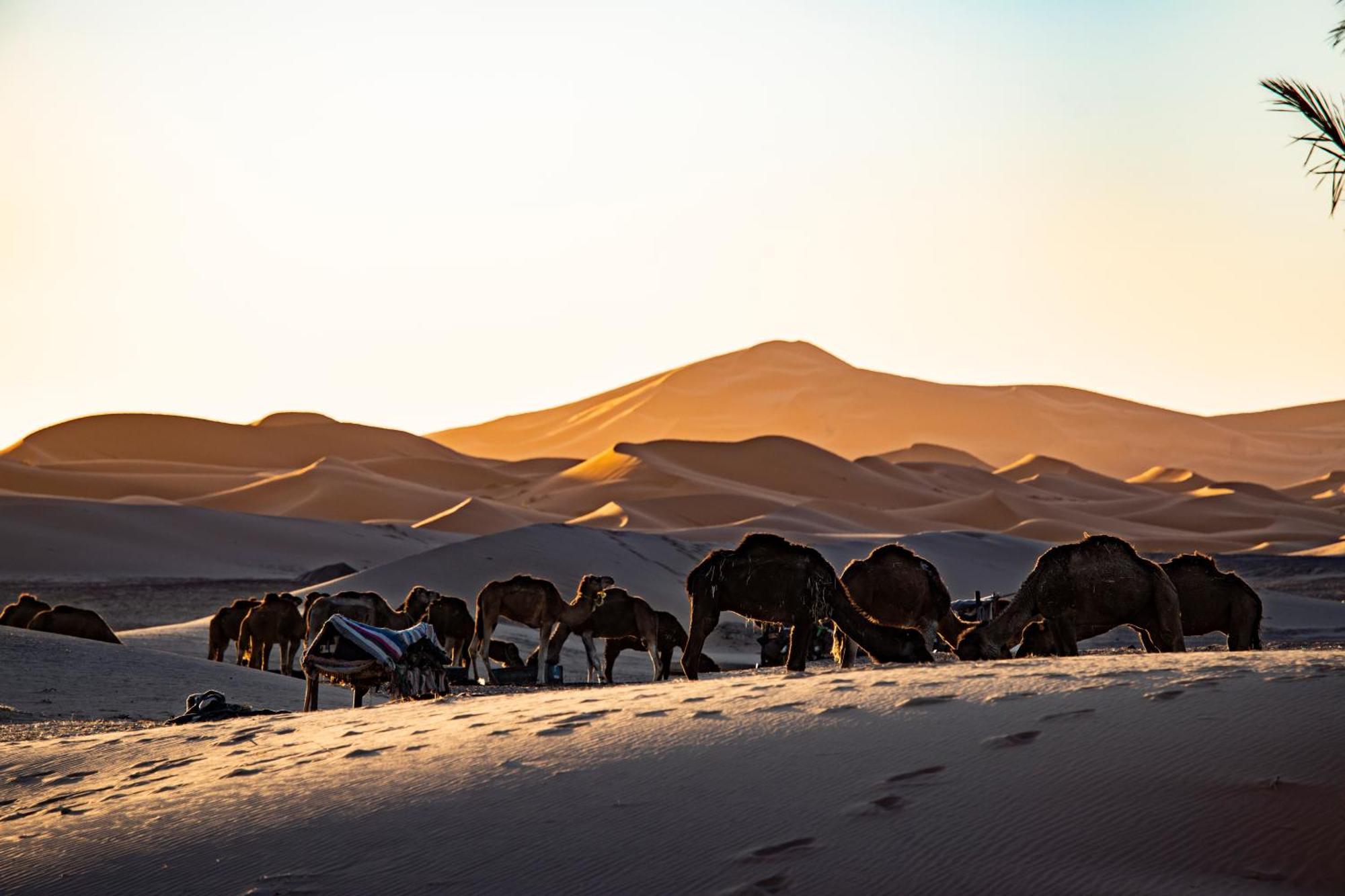 Kanz Erremal Merzouga Exterior foto