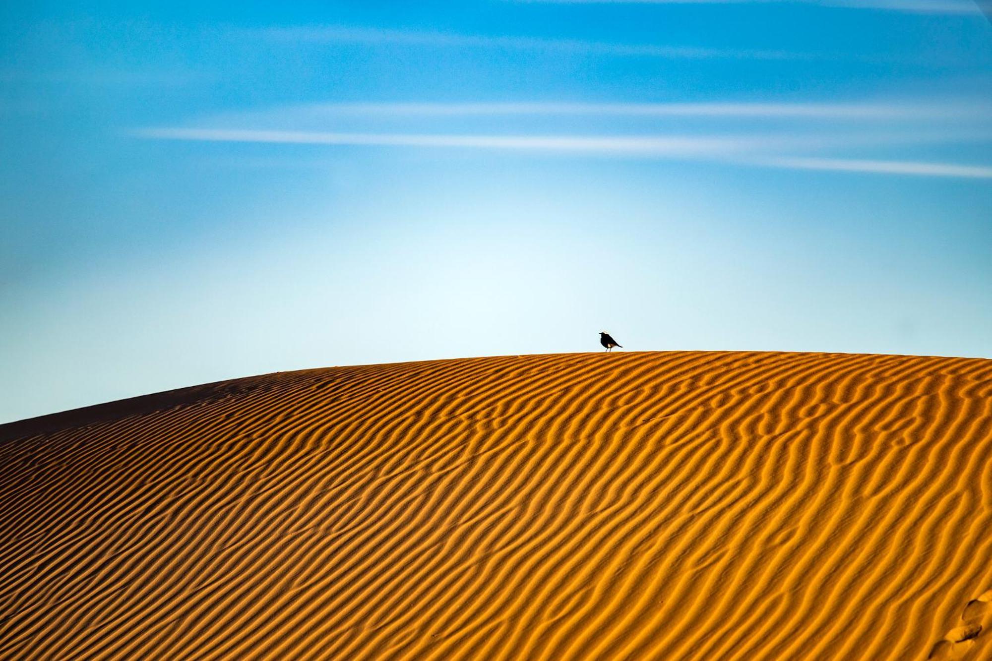 Kanz Erremal Merzouga Exterior foto